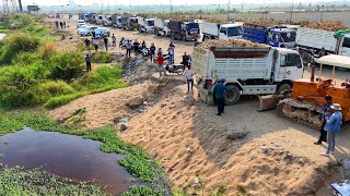 Incredible Start Landfill Project Using Dozer Pushing Soil & Dump Truck 5Ton Clear Lake,Mix VDO
