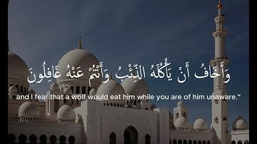 ما تيسر من سورة يوسف القارئ الشيخ أحمد غريب