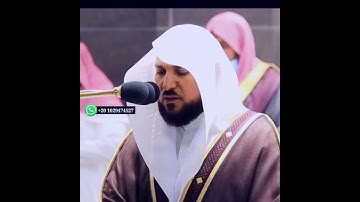 حالات واتس اب قرآن _ ربنا إننا سمعنا مناديا ينادي للإيمان _ سورة ال عمران الشيخ ماهر المعيقلي