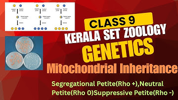 Class 9 Mitochondrial Inheritance