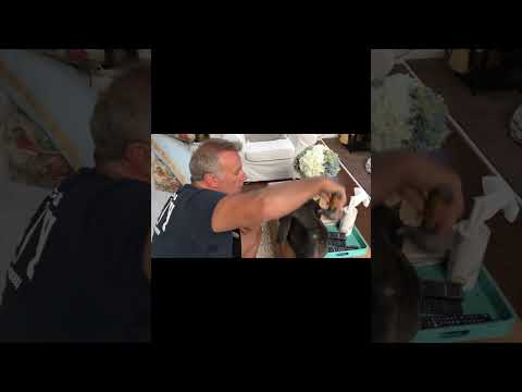 Eddie G. Robinson gets a brushing