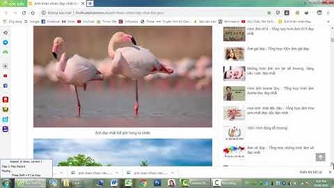 Phần mềm siêu hay - Automatic Mouse and Keyboard