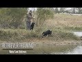 Land/Water Retriever Training Drills with Brookstone Kennels