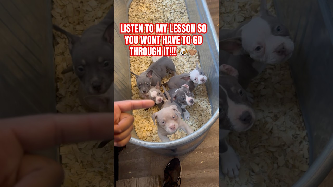 Christina Nguyen Ang Pht Trc Tip - Video