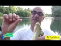 Mondo  Pesca  -  Pesca alla Bolognese lungo  L 'Adda a Lodi