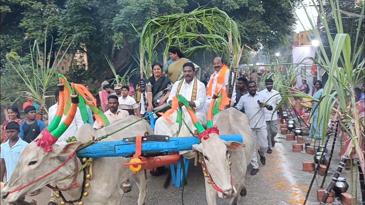 களைகட்டிய கலாச்சார பொங்கல் விழா