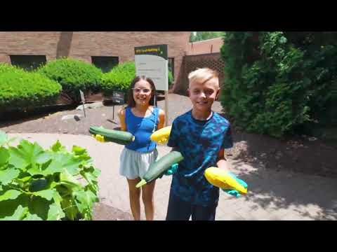 Behind the Scenes at Tender Care Learning Centers + Exploring Robinson Township