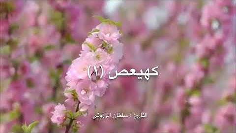 ما تيسر من سورة مريم ، للقارئ سلطان المرزوقي