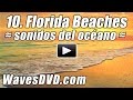 10 - Mejores PLAYAS de FLORIDA 1 Sonidos Relajantes de océano Videos naturaleza olas DVD relajacion