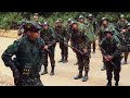 Guerra na selva  exercito brasileiro edit