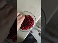 Хаски ест клюкву🍒 #хаски #husky