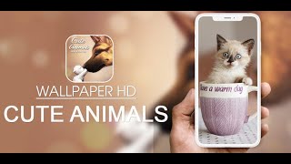 Cute Animals Wallpaper 4K screenshot 4