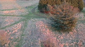 Dji Spark RTH CRASH (obstacle avoidance fail)