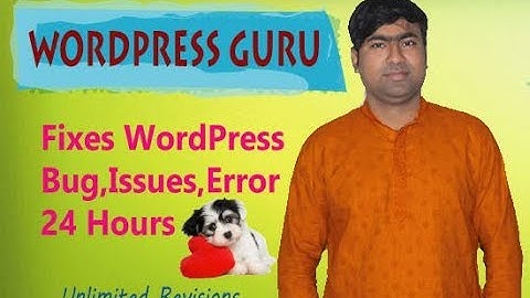 I Will Help Fixes Wordpress Error Bug In 24 Hours | Fiverr WordPress Expert