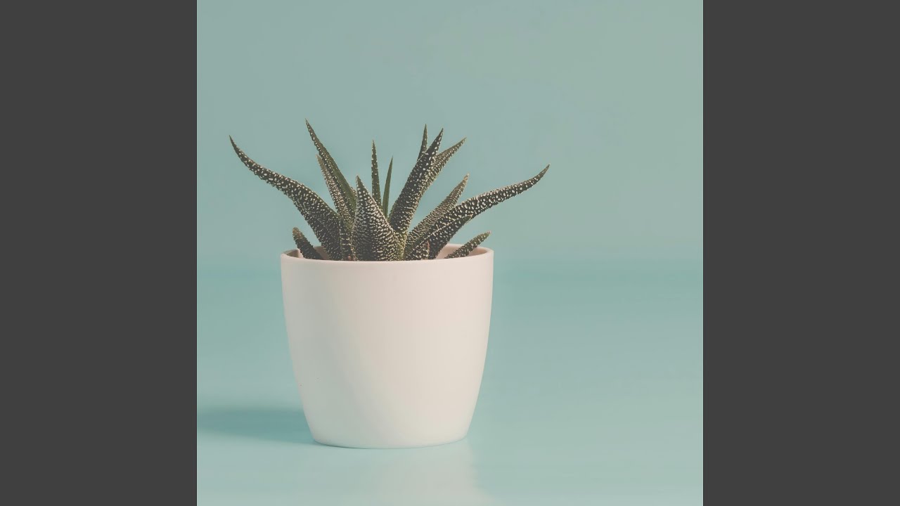 Watch Fading Light on YouTube Watch Fading Light on YouTube