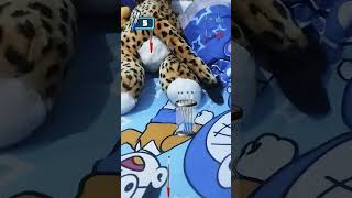 Download Lagu lagu tabola bale tapi bisbok cuy 🗿🗿 MP3 Download Lagu lagu tabola bale tapi bisbok cuy 🗿🗿 MP3