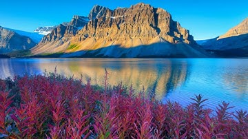 تلاوة مريحة من سورة الحجر للقارئ عبدالرحمن المسعودي