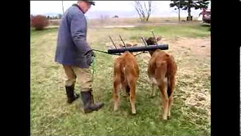 Testing Out Our Homemade PVC Yoke