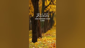 سوره الحج الايه 77 القارئ عبد الرحمن مسعد