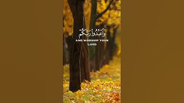 سوره الحج الايه 77 القارئ عبد الرحمن مسعد