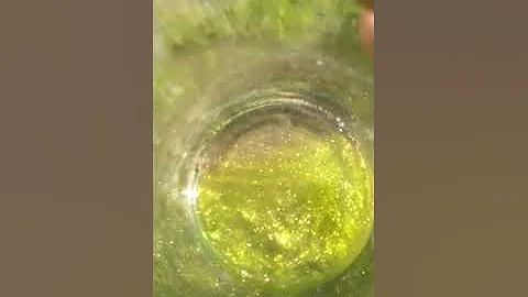 Золото с Восточных Саян. Сибирь. Gold from the Eastern Sayan Mountains.  Siberia.