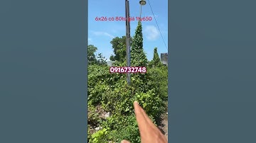 Bán gấp lô đất cách biển 100m #nhadat #batdongsan