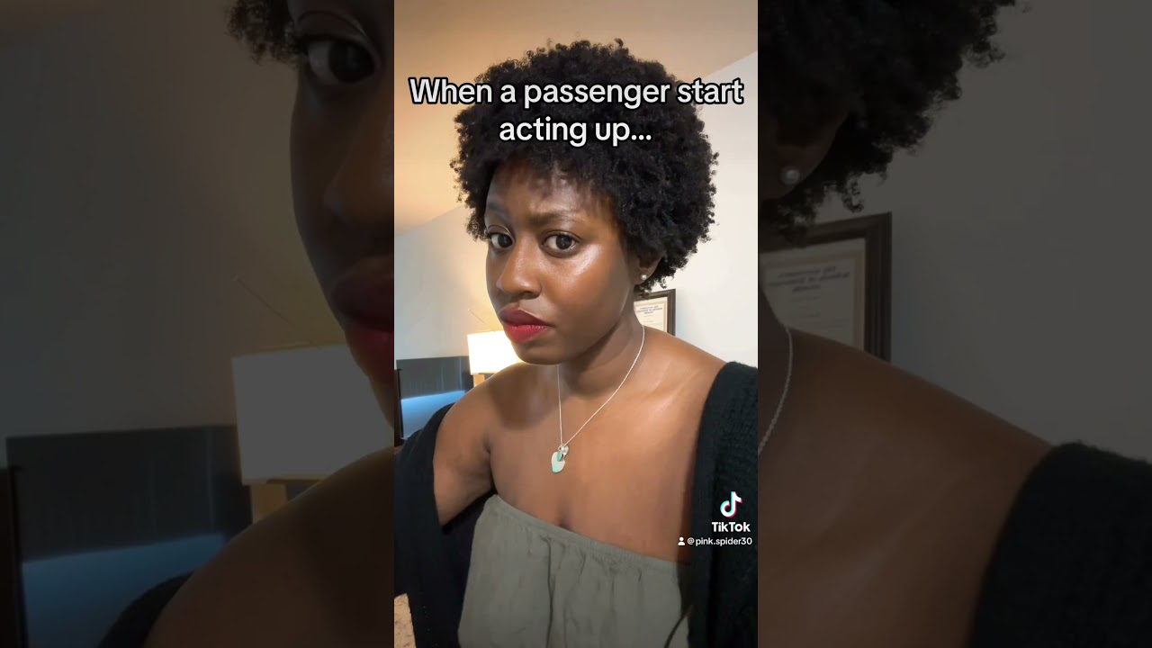 Karen, you might wanna stow that purse in the overhead bin.. 😭 