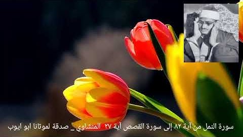 سورة النمل من آية ٨٢ إلى سورة القصص آية ٢٧ _ المنشاوي