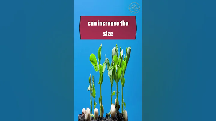 Increase your brain size!