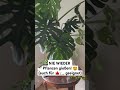 #viral #shorts #short #fyp #420