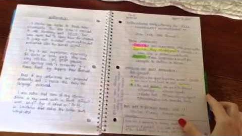 Interactive Notebook