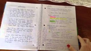 Interactive Notebook