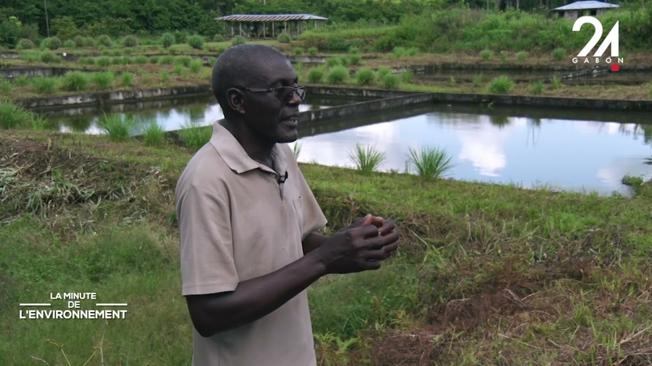 LA MINUTE DE L'ENVIRONNEMENT  --  LA PISCICULTURE