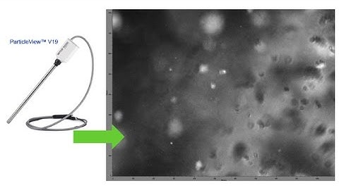Real Time Microscopy for Particles, Crystals, and Droplets – ParticleView with RBI Introduction– en