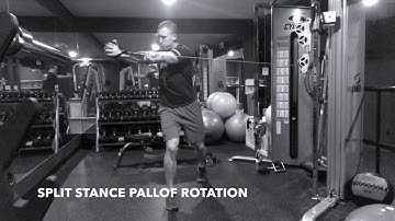 Split Stance Pallof Rotation - Upside Strength Exercise Library