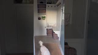 Cottage Bootroom Before After