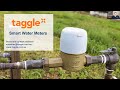 Taggle Webinars - Smart Water Meters 13th May 2020