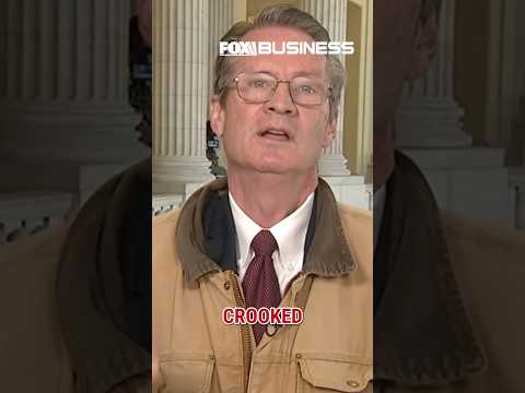 'INFINITELY BROKEN': Lawmaker SHREDS congressional stock trading #shorts