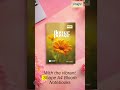 Shape A4 Bloom Series Notebook