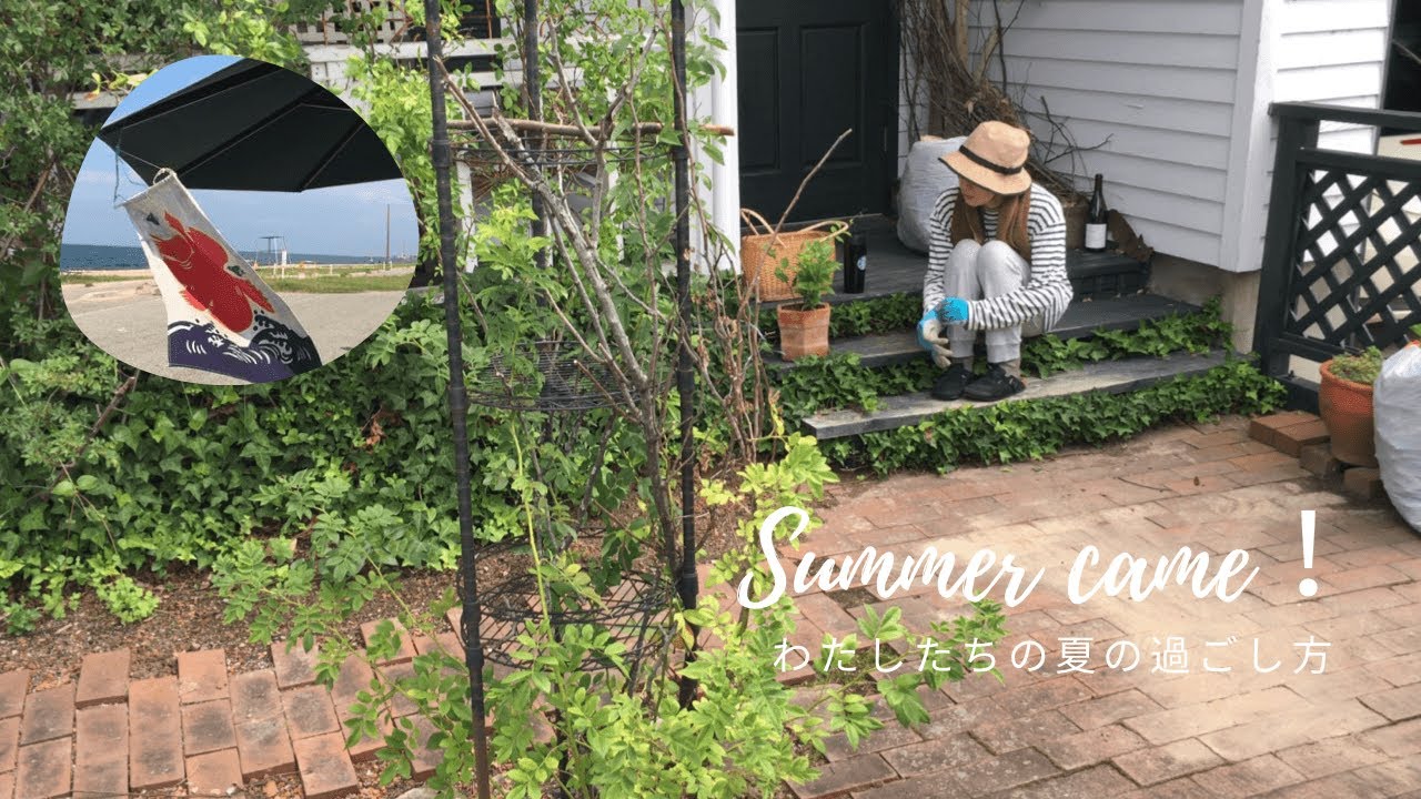 暮らしのvlog｜思い思いの夏の過ごし方｜海の家で生ビール｜梅干し干しました