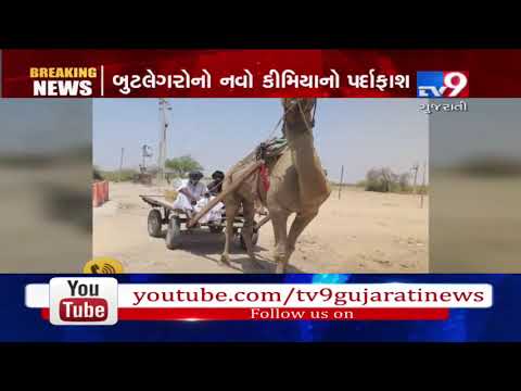 Bootleggers adopt all new technique to supply liquor in Gujarat | Tv9GujaratiNews