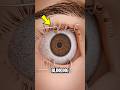 👁️ What Happens If You Stop Blinking? Your Eyes Could Be in Danger!