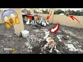 رد فعل الجرو البيتبول لما شاف القرد والبط لاول مرة🤯🐶🦆