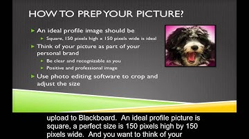 Adding a Profile Picture to Blackboard CC