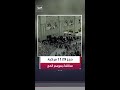 الهيئة العامة للنقل: حجز 1129 مركبة مخالفة خلال موسم الحج
