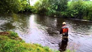 Streamer Fishing in Ireland with Clonanav Fly Fishing