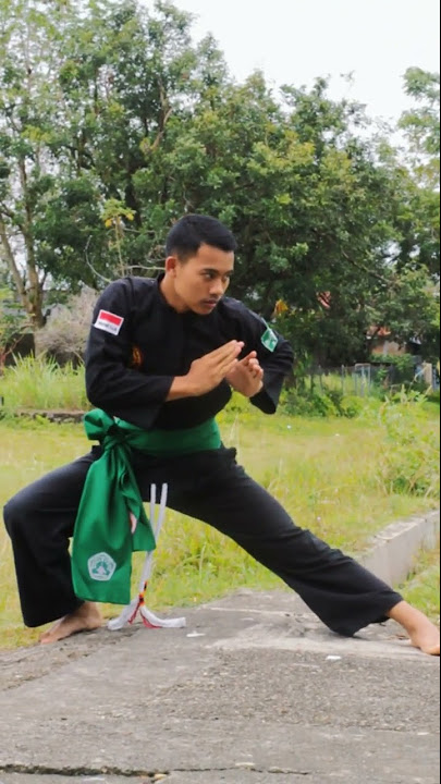 UJIAN KENAIKAN TINGKAT PAGAR NUSA - YouTube