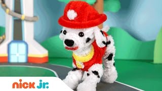 Pipe Cleaner Crafts w\/ PAW Patrol's Marshall, Blaze and Shimmer \& Shine | Stay Home #WithMe Nick Jr.