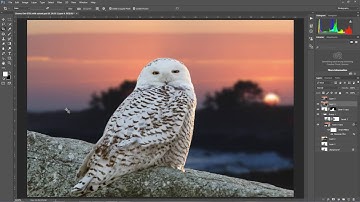 Content Aware Crop in Photoshop 2015.5