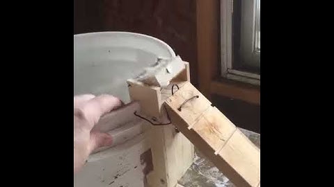 Build a better mousetrap